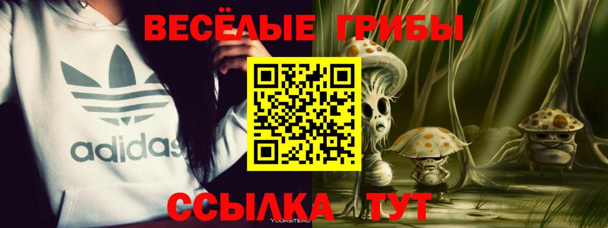 Псилоцибиновые грибы прущие грибы  Галлюциногенные грибы Psilocybe  Вход с VPN  Кирово-Чепецк 